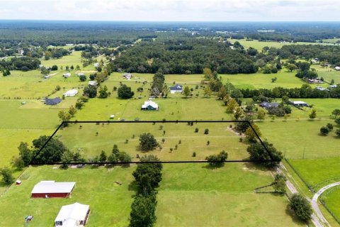 Land in Dade City, Florida № 1900649 - photo 7