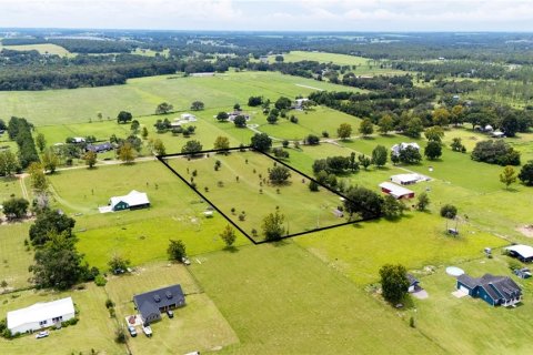 Land in Dade City, Florida № 1900649 - photo 5
