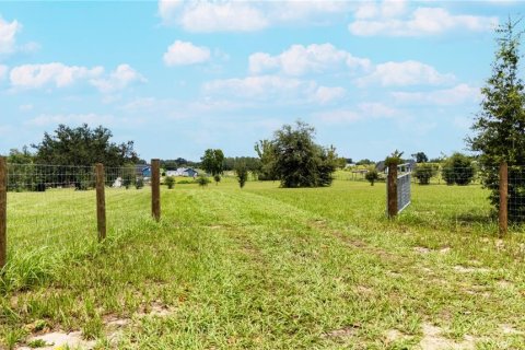Land in Dade City, Florida № 1900649 - photo 11