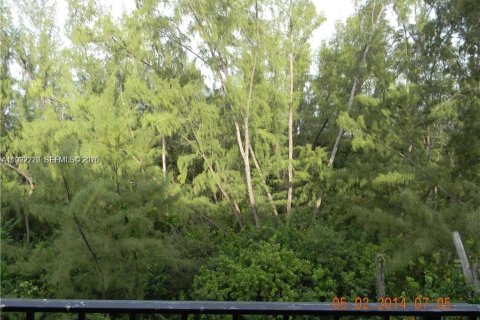 Copropriété à louer à North Miami Beach, Floride: 1 chambre, 74.69 m2 № 1976944 - photo 24