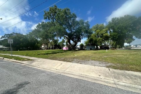 Land in Kissimmee, Florida № 1741121 - photo 4