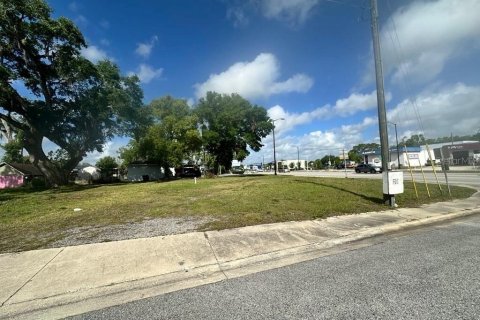 Land in Kissimmee, Florida № 1741121 - photo 2