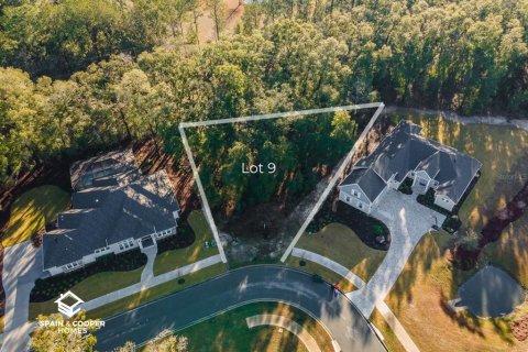 Land in Newberry, Florida № 1534529 - photo 4