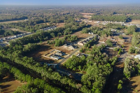 Land in Newberry, Florida № 1534529 - photo 9