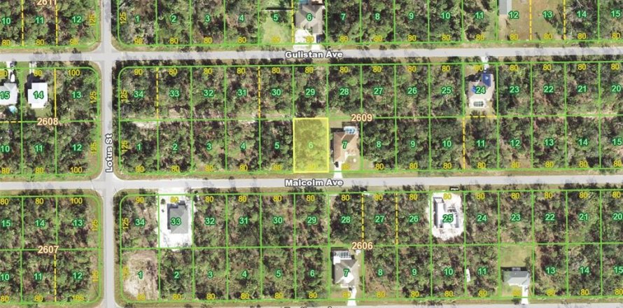 Terreno en Port Charlotte, Florida № 2196713