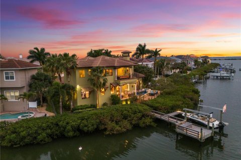 Casa en venta en Tampa, Florida, 4 dormitorios, 340.86 m2 № 2121819 - foto 3