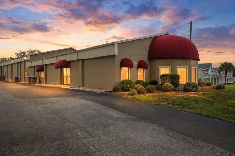 Commercial property in Spring Hill, Florida 419.55 sq.m. № 2339689 - photo 7