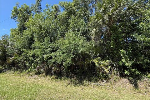Land in North Port, Florida № 2165005 - photo 2