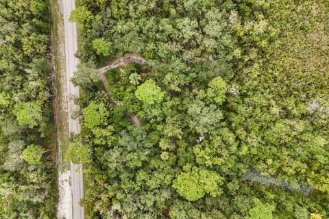 Land in DeLand, Florida № 1689654 - photo 4