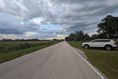 Land in Wimauma, Florida № 2098639 - photo 10
