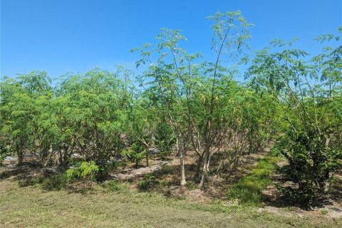 Land in Wimauma, Florida № 2098639 - photo 4