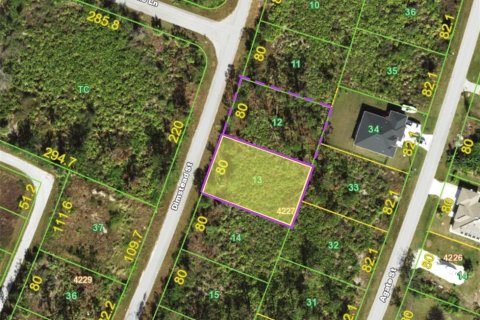 Land in Port Charlotte, Florida № 2162615 - photo 3