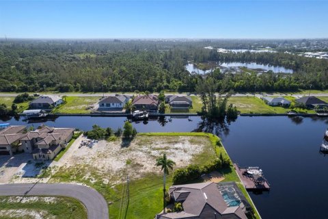 Land in Cape Coral, Florida № 1736713 - photo 8