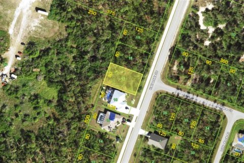 Land in Port Charlotte, Florida № 2161820 - photo 2