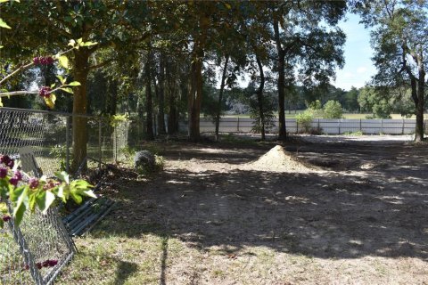 Commercial property in Citra, Florida 284.47 sq.m. № 826038 - photo 14