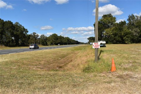 Commercial property in Citra, Florida 284.47 sq.m. № 826038 - photo 12