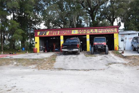Commercial property in Citra, Florida 284.47 sq.m. № 826038 - photo 3