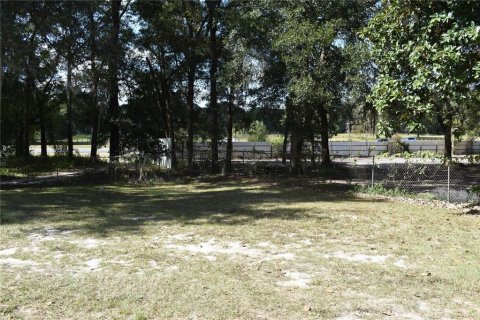 Commercial property in Citra, Florida 284.47 sq.m. № 826038 - photo 24