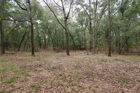 House in Trenton, Florida 2 bedrooms, 89.19 sq.m. № 2213804 - photo 14