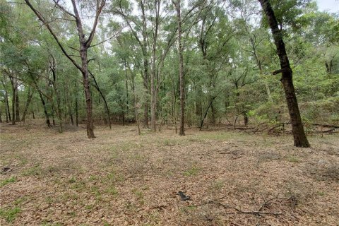 House in Trenton, Florida 2 bedrooms, 89.19 sq.m. № 2213804 - photo 15