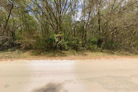 Terrain à vendre à Interlachen, Floride № 2223880 - photo 3