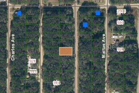 Terrain à Interlachen, Floride № 2223880