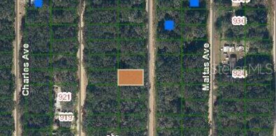 Terrain à Interlachen, Floride № 2223880
