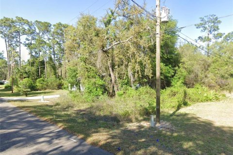 Land in Silver Springs Shores, Florida № 2195395 - photo 3