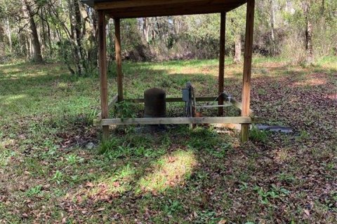 Land in Leesburg, Florida № 1754484 - photo 3