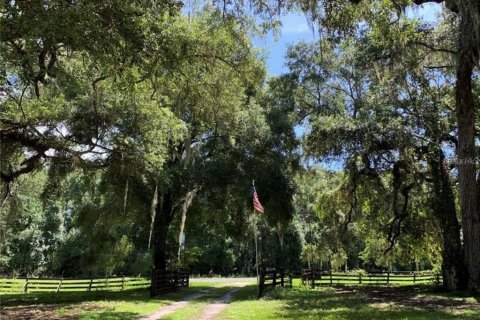 Land in Leesburg, Florida № 1754484 - photo 1