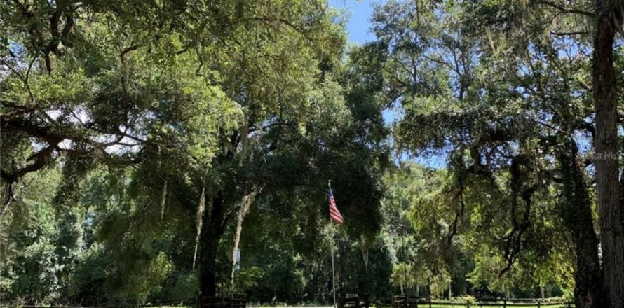 Land in Leesburg, Florida № 1754484