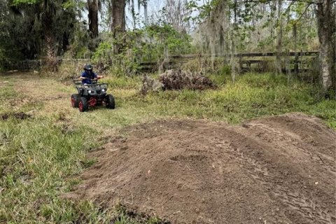 Land in Leesburg, Florida № 1754484 - photo 4