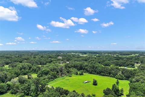 Land in Reddick, Florida № 1819526 - photo 1