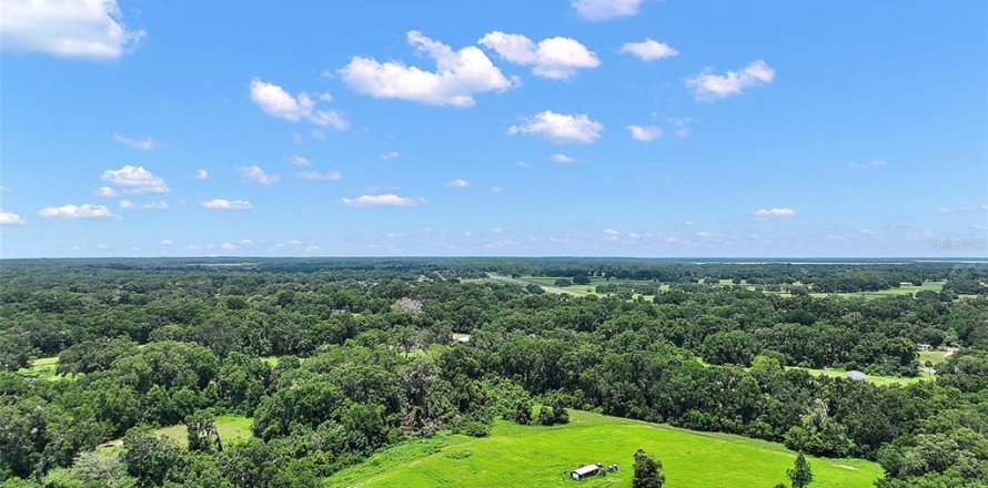 Land in Reddick, Florida № 1819526