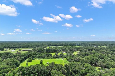 Land in Reddick, Florida № 1819526 - photo 8