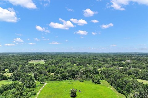 Land in Reddick, Florida № 1819526 - photo 6