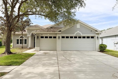 House in Valrico, Florida 4 bedrooms, 208.38 sq.m. № 2156186