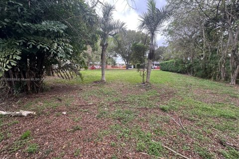 Terreno en venta en Miami Shores, Florida № 2013105 - foto 4