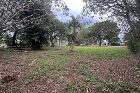 Terreno en venta en Miami Shores, Florida № 2013105 - foto 5
