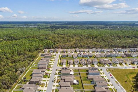 Villa ou maison à louer à Lutz, Floride: 4 chambres, 173.73 m2 № 2214233 - photo 6