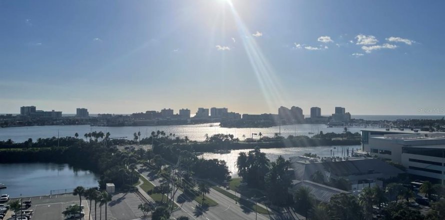 Condo in Clearwater, Florida, 1 bedroom  № 2431150