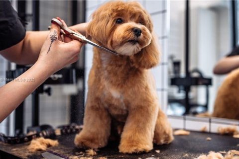 Commercial property in Dania Beach, Florida № 2013120