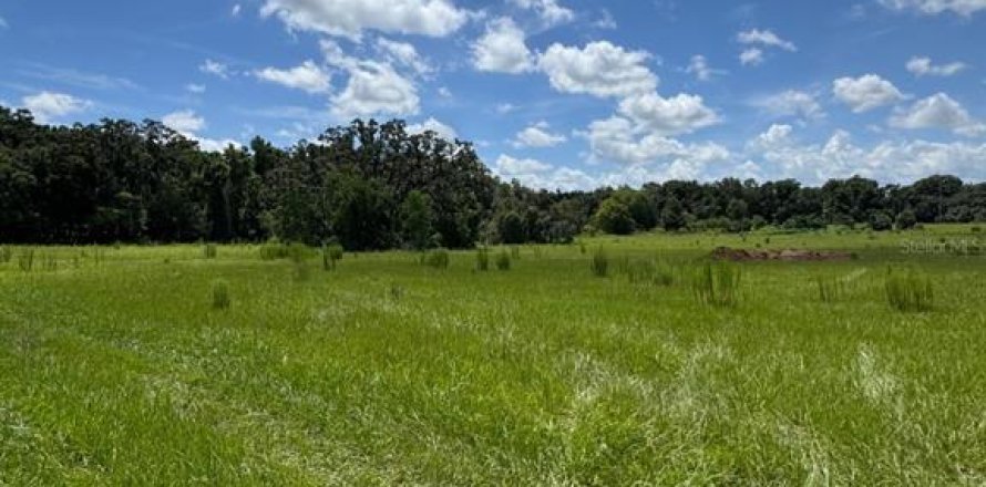 Terrain à Ocala, Floride № 1909416