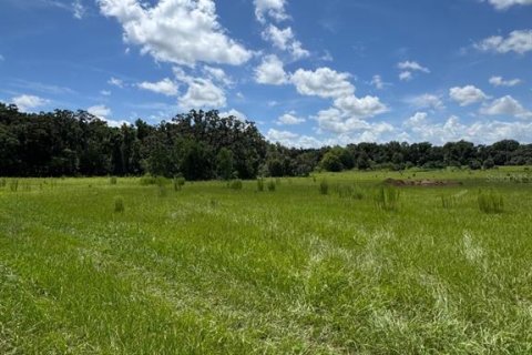 Terrain à vendre à Ocala, Floride № 1909416 - photo 4