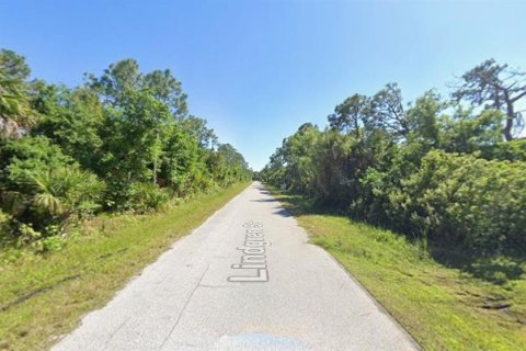 Land in Port Charlotte, Florida № 2162503 - photo 11