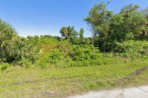 Land in Port Charlotte, Florida № 2162503 - photo 3