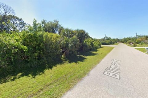 Land in Port Charlotte, Florida № 2162503 - photo 10