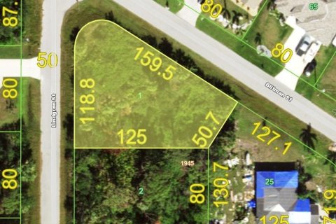 Land in Port Charlotte, Florida № 2162503