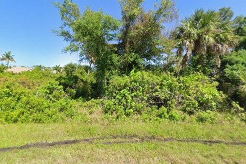Land in Port Charlotte, Florida № 2162503 - photo 5