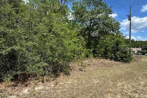 Terreno en venta en Dunnellon, Florida № 2212414 - foto 6